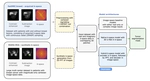 Robustness of breast lesion segmentation under MRI undersampling improves with k-space-aware deep learning
