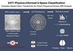 Efficient Complex-Valued Vision Transformers for MRI Classification Directly from k-Space